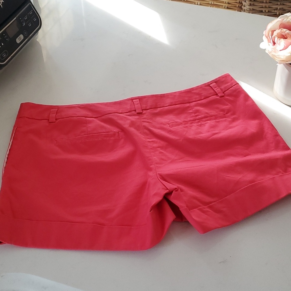 Express Shorts - Picture 4 of 8